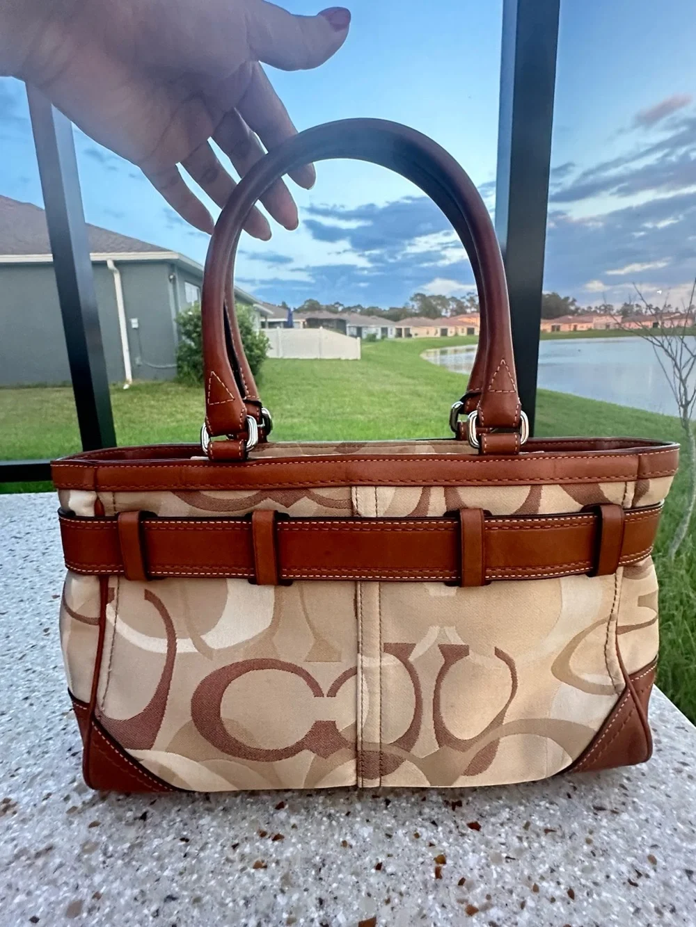 Coach Hamptons Optic Signature Stripe Carryall F13337, Brown and Cream